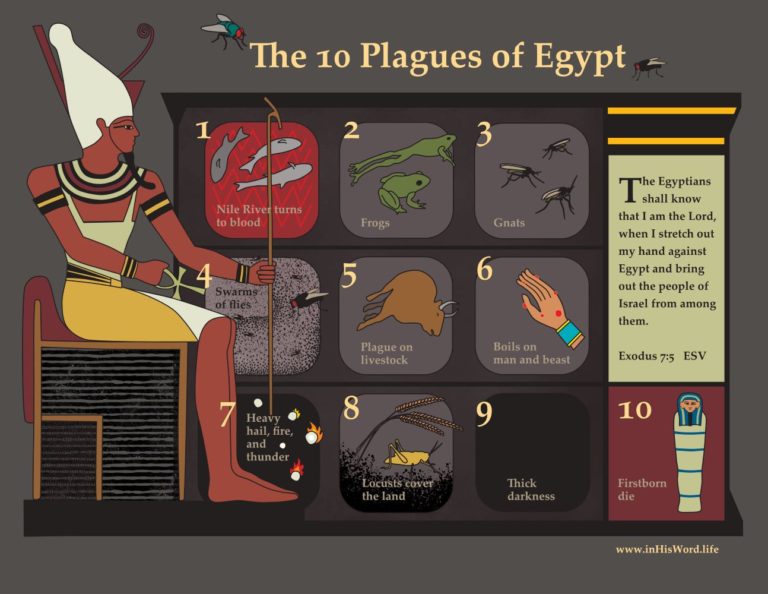 7 plagues of egypt in order